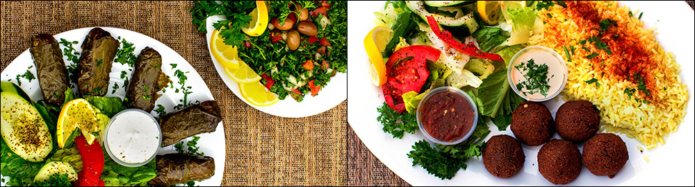 Mediterranean Grill (Decatur) - Decatur, GA 30033 (Menu & Order Online)